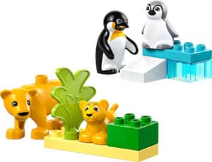 Wild Animal Families: Penguins & Lions