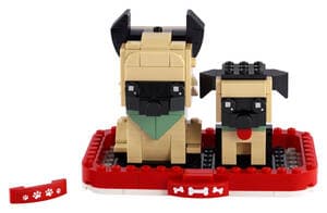 German Shepherd and Puppy