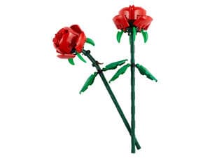 Roses